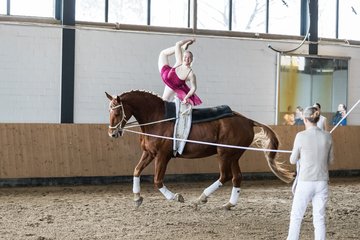 Bild 308 - Voltigierturnier